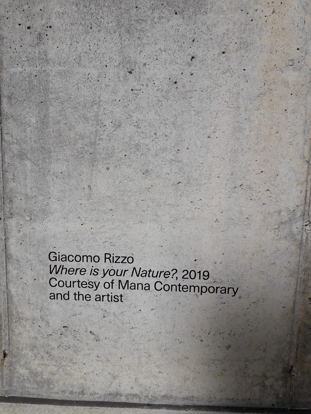 Giacomo_Rizzo_Where_is_your_nature_2019_Courtesy_ofMANA_and_Artist_MANA_Contemporary_NJ_7